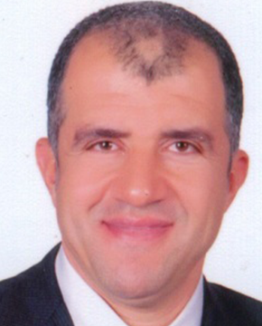 Mr. Mohamed El Sewedy